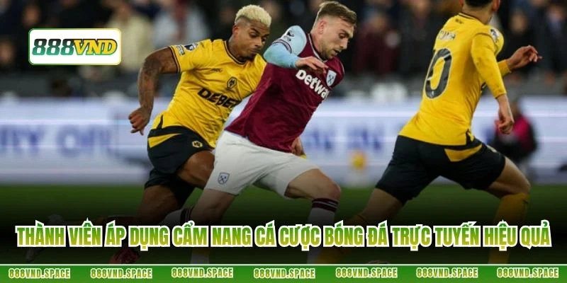 Thành viên áp dụng cẩm nang cá cược bóng đá trực tuyến hiệu quả